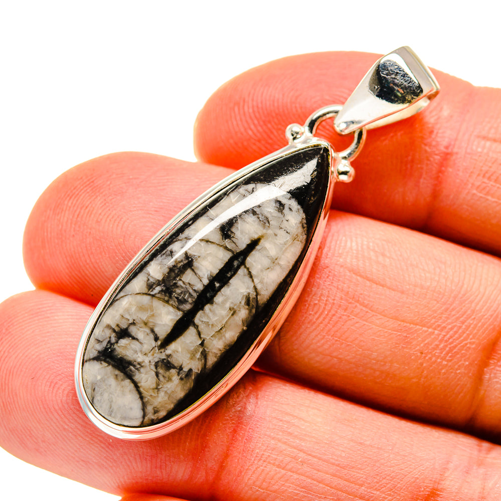 Orthoceras Fossil Pendants handcrafted by Anasilvercos - PD745353