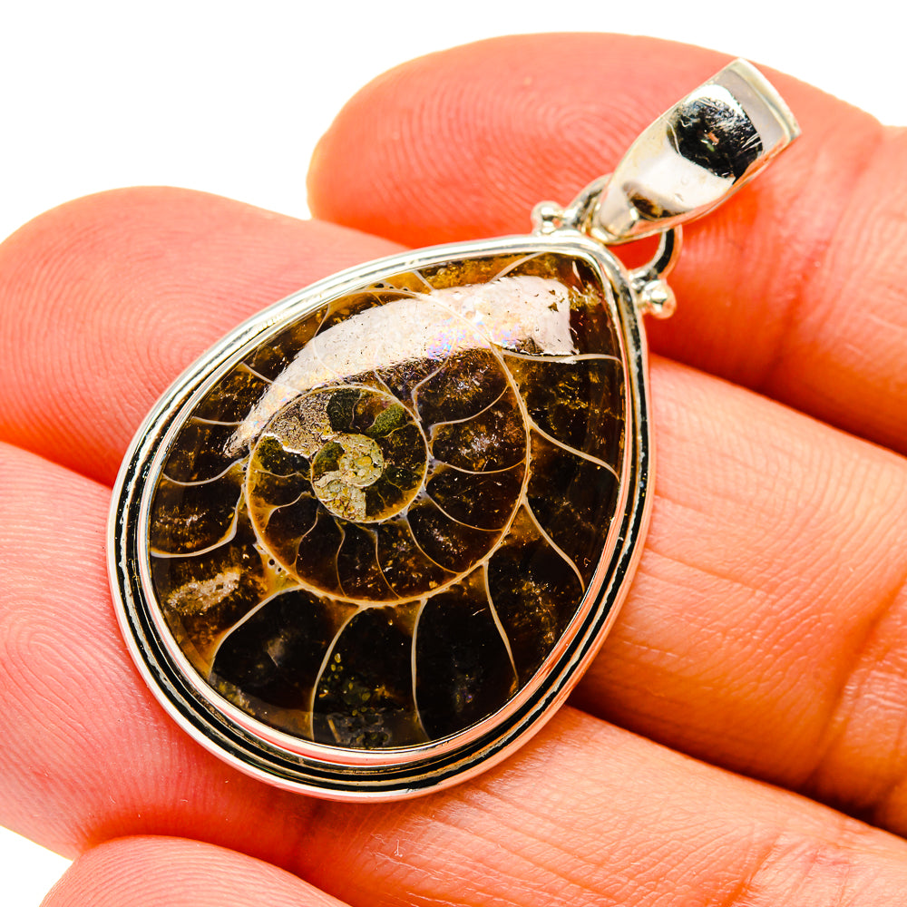 Ammonite Fossil Pendants handcrafted by Anasilvercos - PD745569