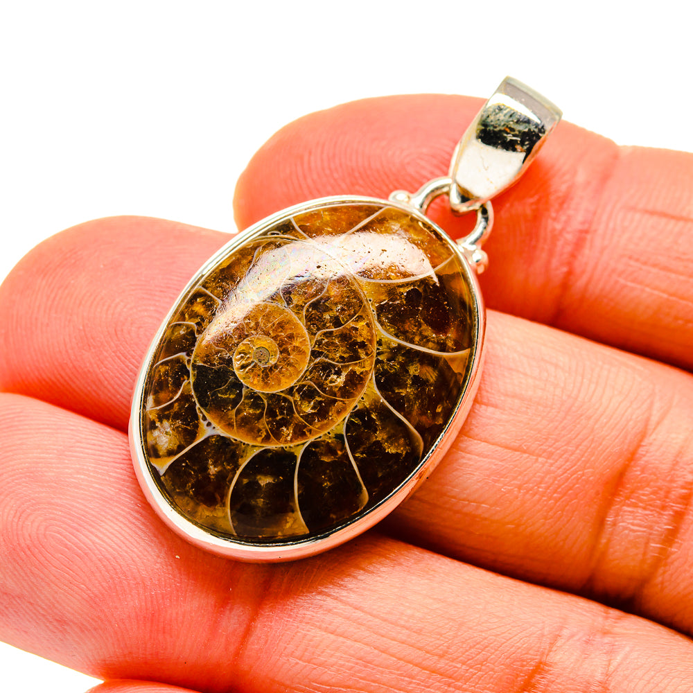 Ammonite Fossil Pendants handcrafted by Anasilvercos - PD745595