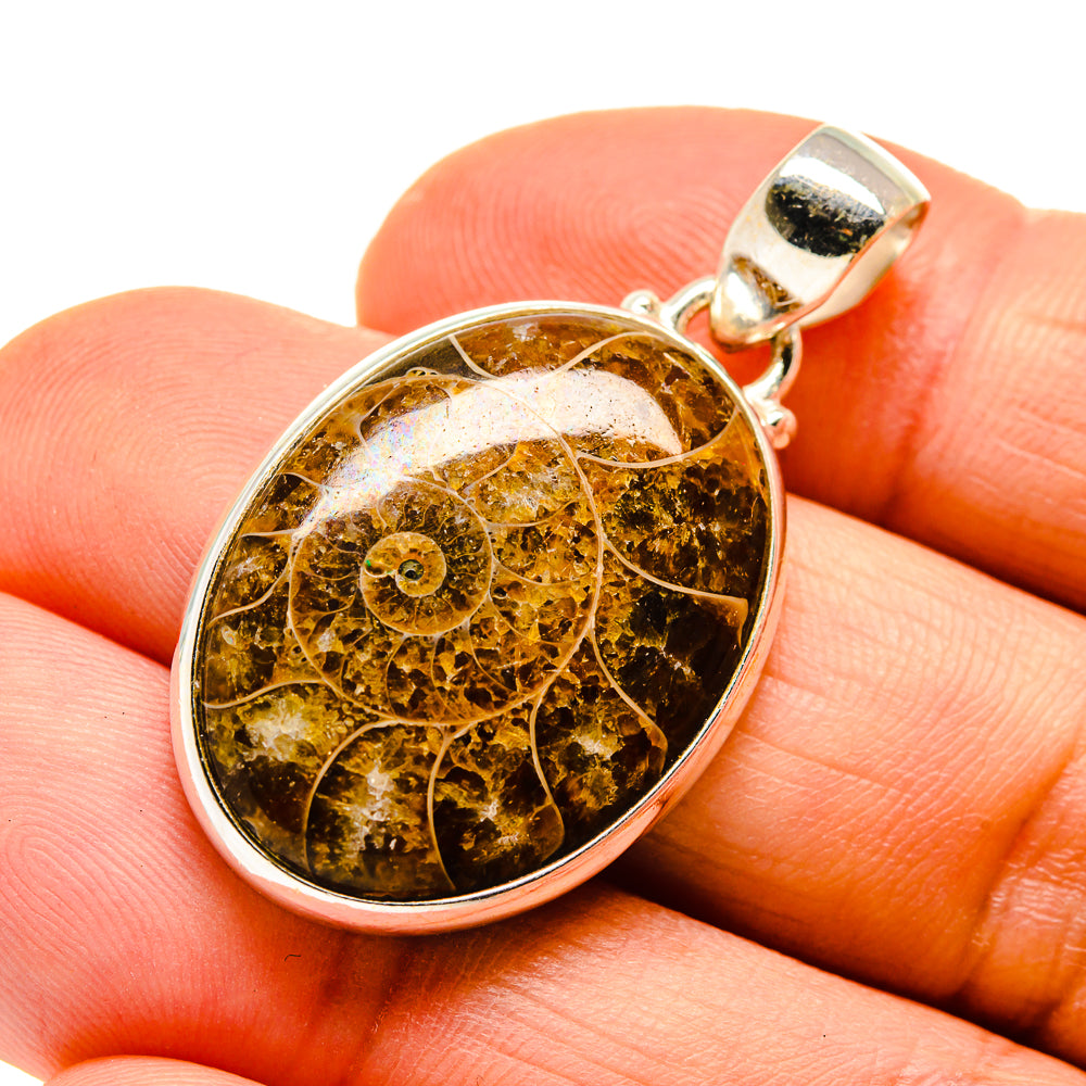 Ammonite Fossil Pendants handcrafted by Anasilvercos - PD745693