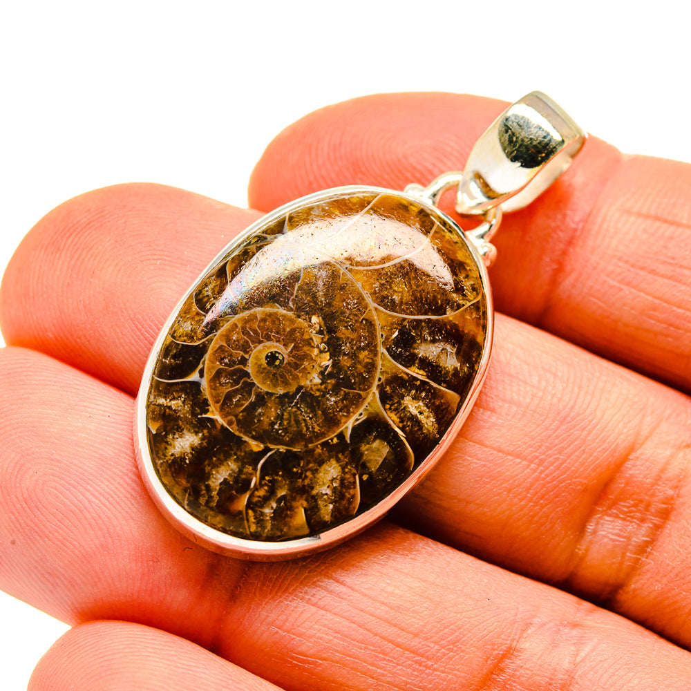 Ammonite Fossil Pendants handcrafted by Anasilvercos - PD745702