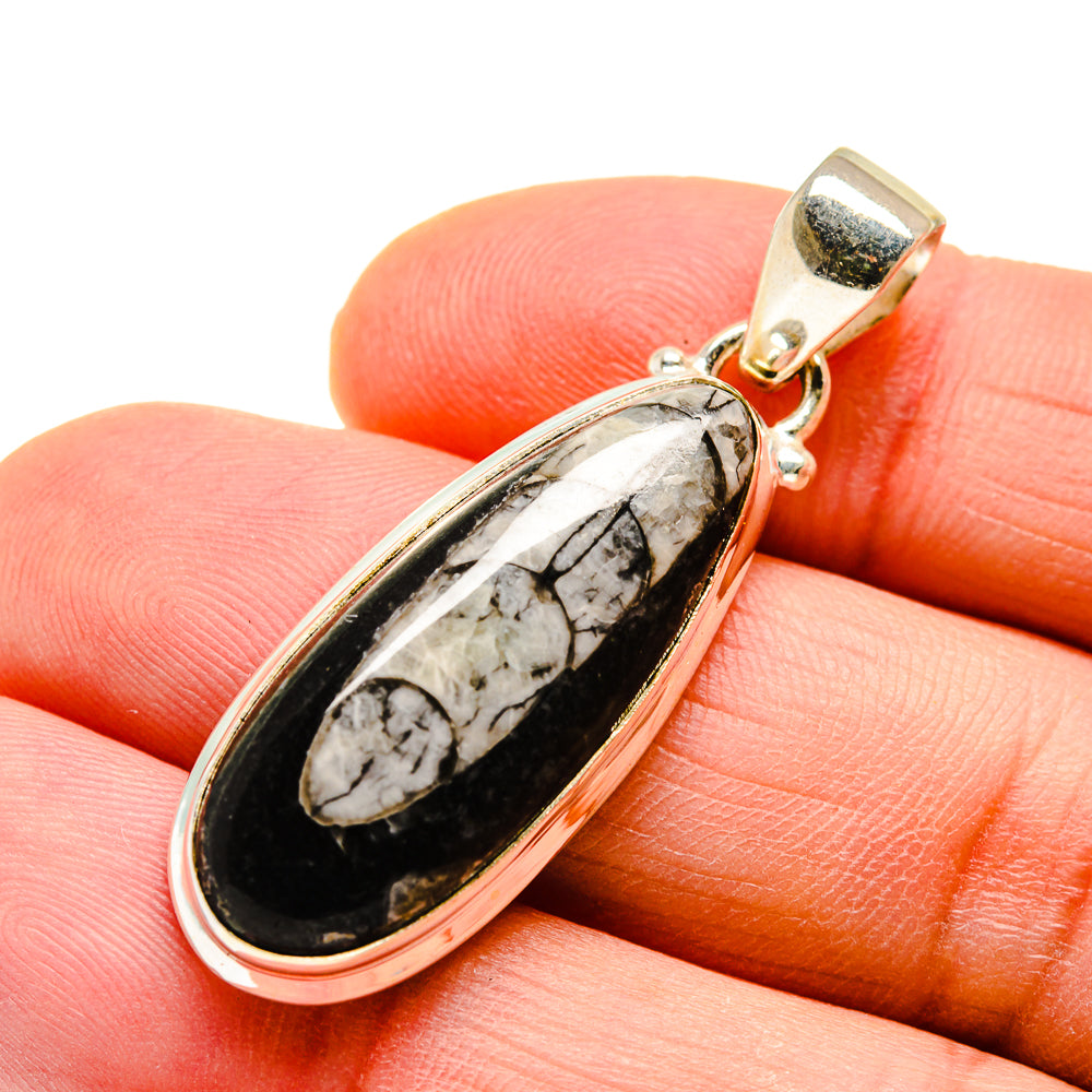 Orthoceras Fossil Pendants handcrafted by Anasilvercos - PD746773