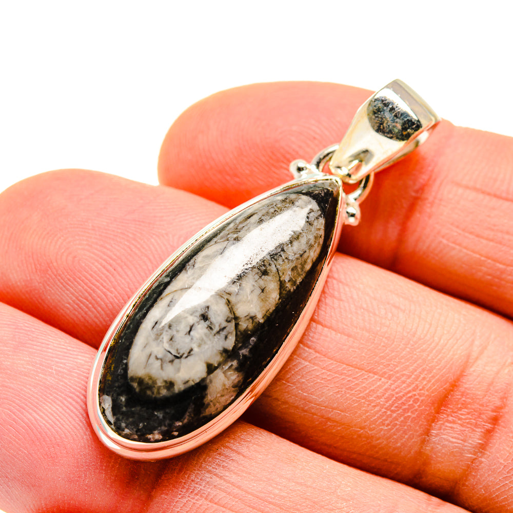 Orthoceras Fossil Pendants handcrafted by Anasilvercos - PD746774