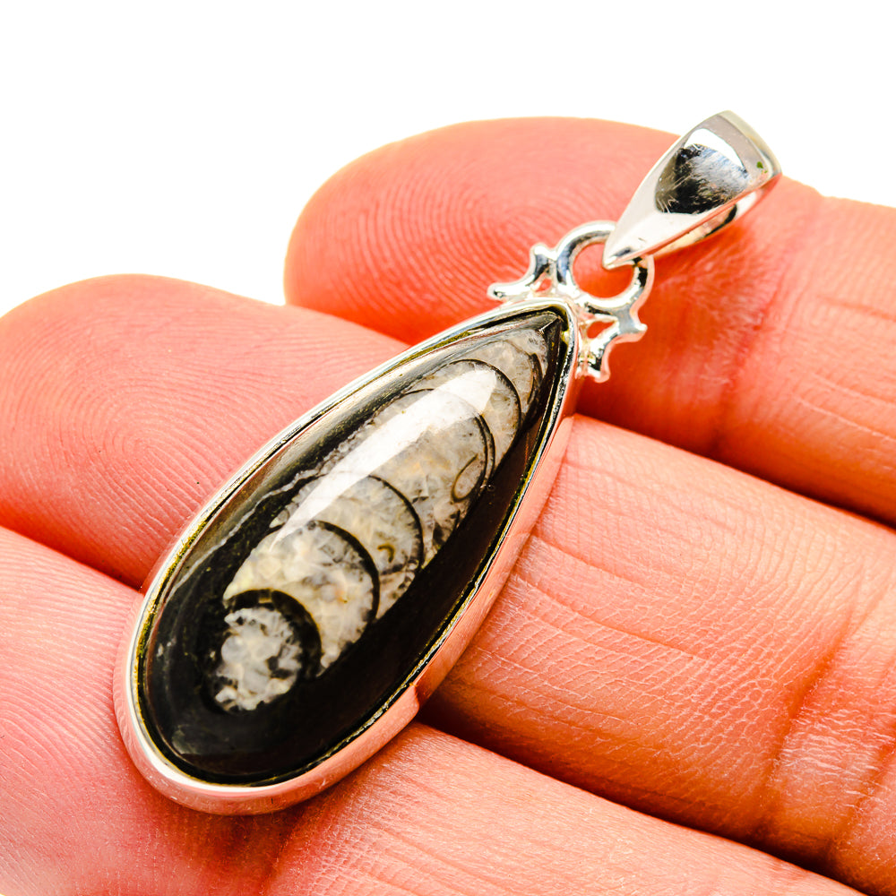 Orthoceras Fossil Pendants handcrafted by Anasilvercos - PD746824