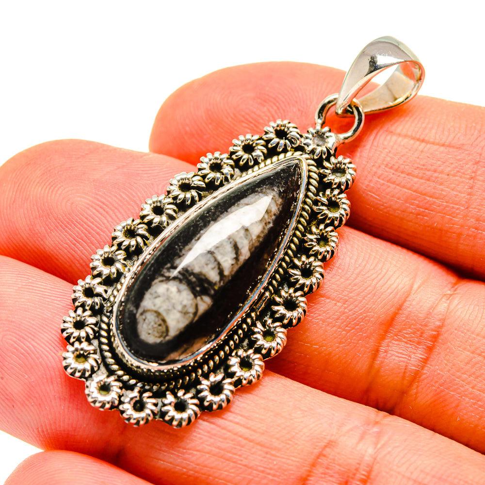 Orthoceras Fossil Pendants handcrafted by Anasilvercos - PD746913