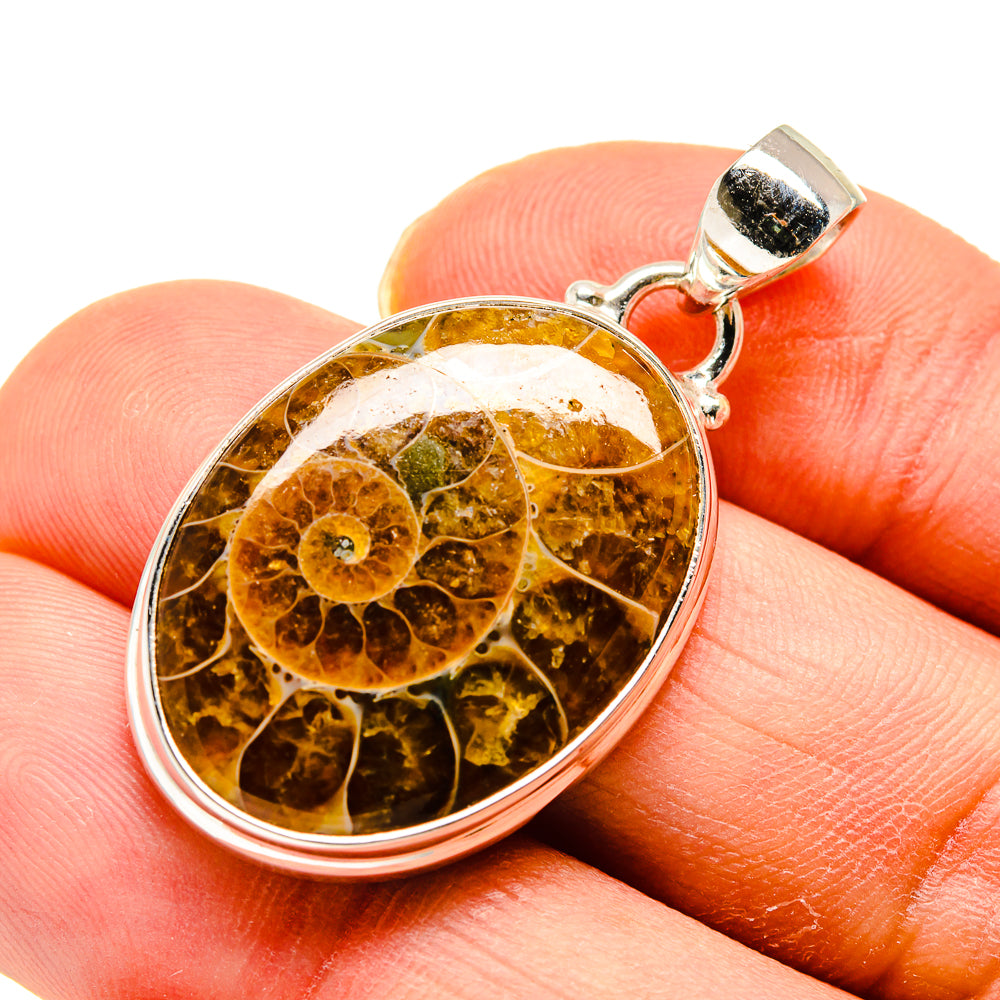 Ammonite Fossil Pendants handcrafted by Anasilvercos - PD748686