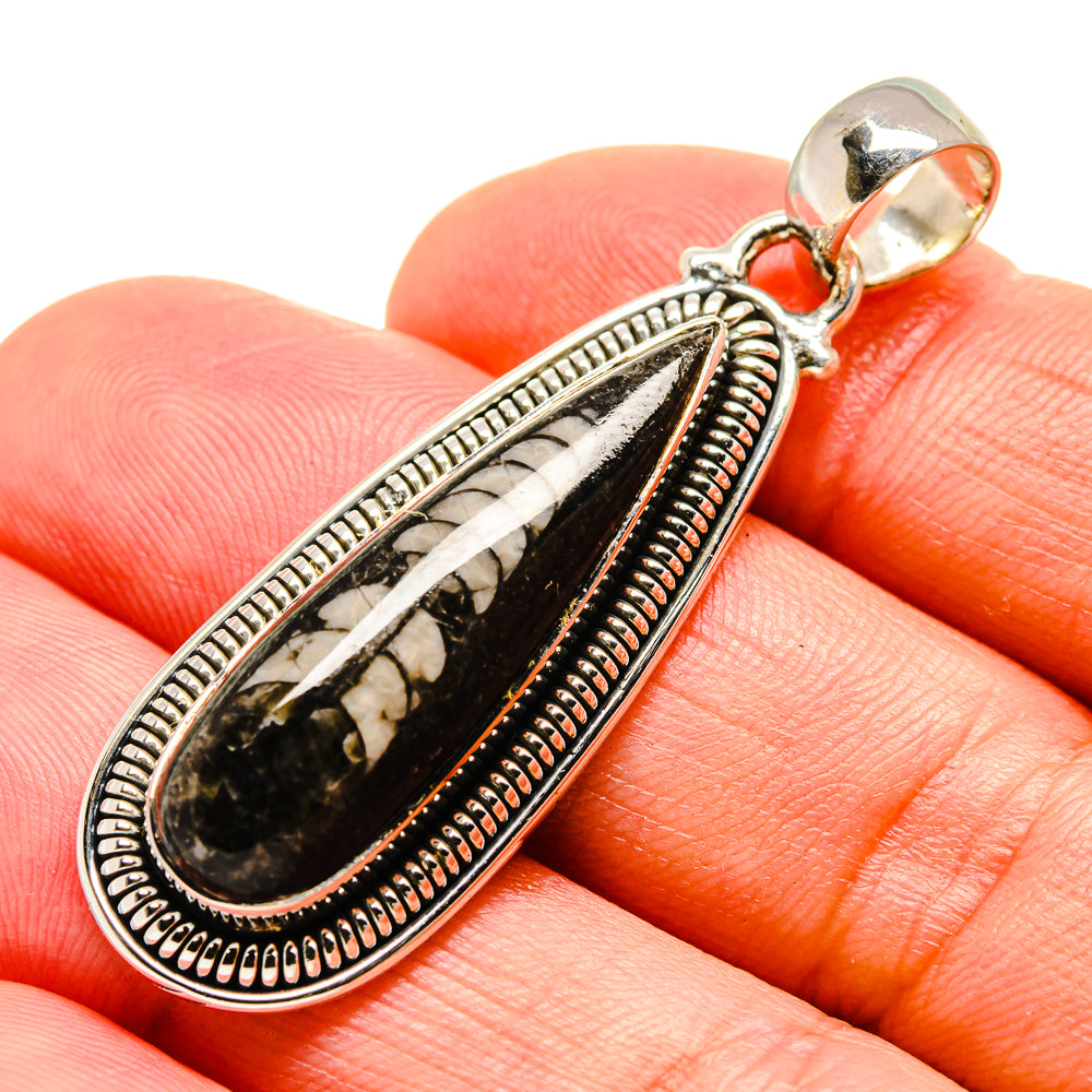 Orthoceras Fossil Pendants handcrafted by Anasilvercos - PD754472