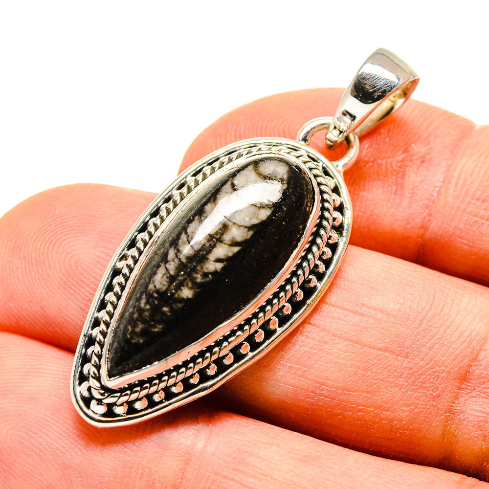 Orthoceras Fossil Pendants handcrafted by Anasilvercos - PD755170