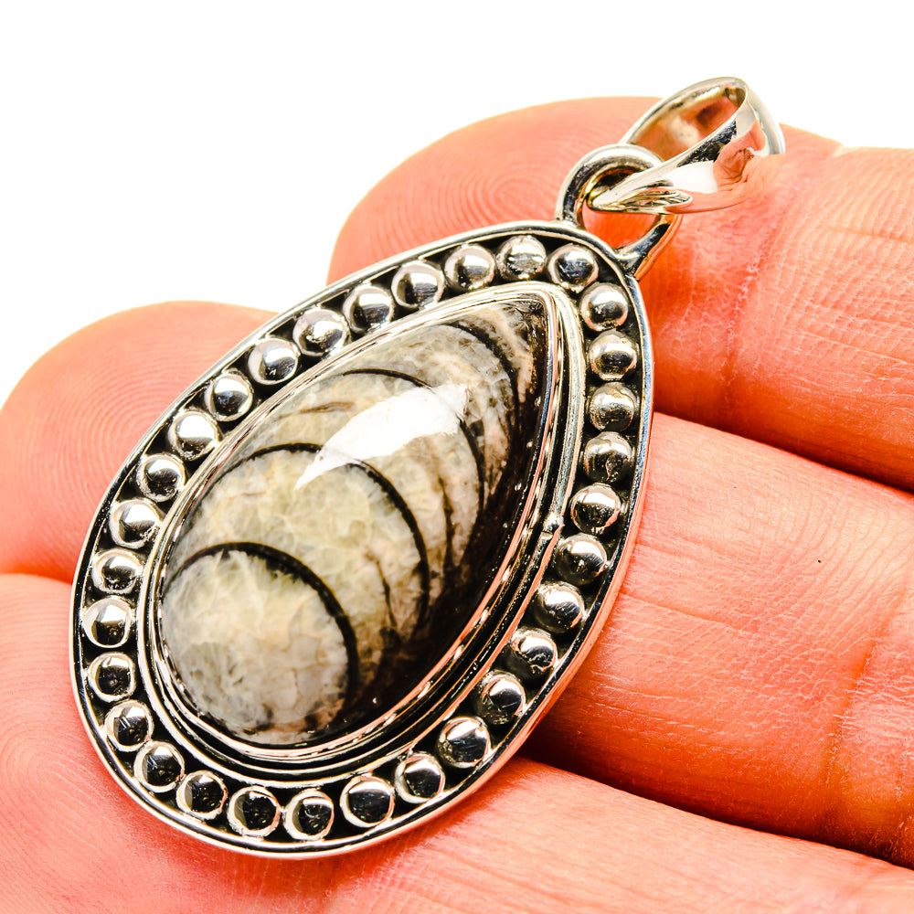 Orthoceras Fossil Pendants handcrafted by Anasilvercos - PD755191