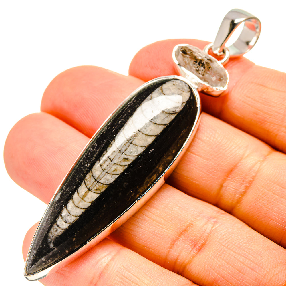 Orthoceras Fossil Pendants handcrafted by Anasilvercos - PD755328
