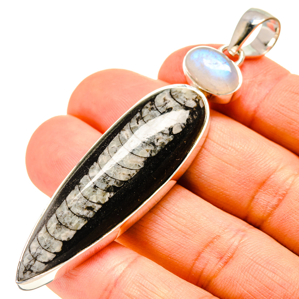 Orthoceras Fossil Pendants handcrafted by Anasilvercos - PD755329
