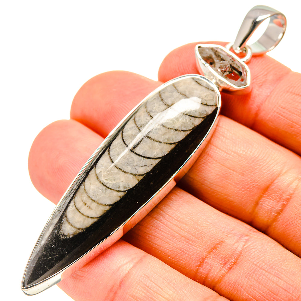 Orthoceras Fossil Pendants handcrafted by Anasilvercos - PD755330