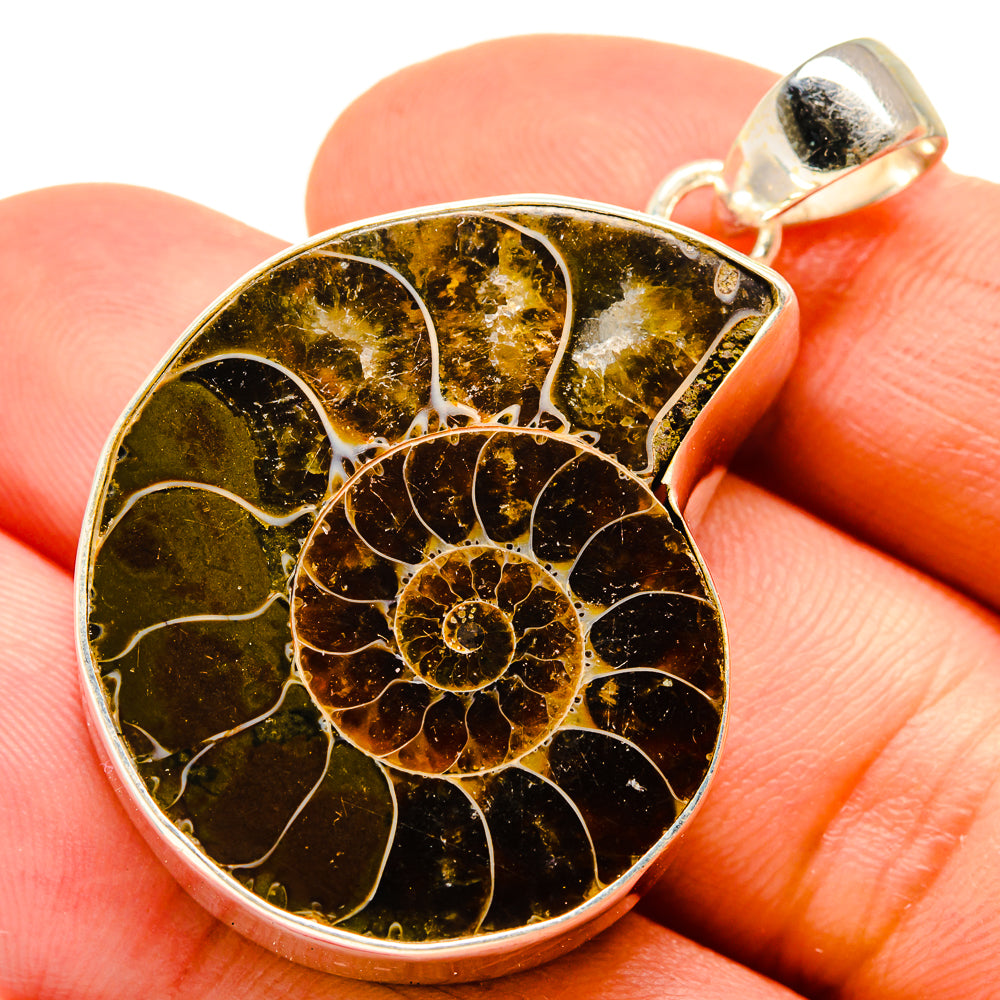 Ammonite Fossil Pendants handcrafted by Anasilvercos - PD755340