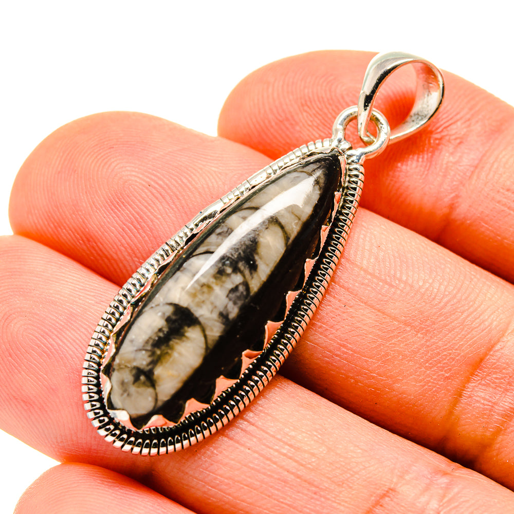 Orthoceras Fossil Pendants handcrafted by Anasilvercos - PD755613