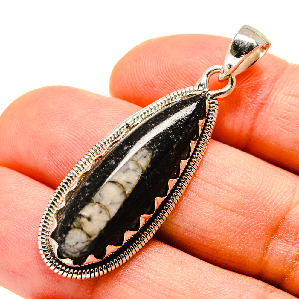 Orthoceras Fossil Pendants handcrafted by Anasilvercos - PD755877