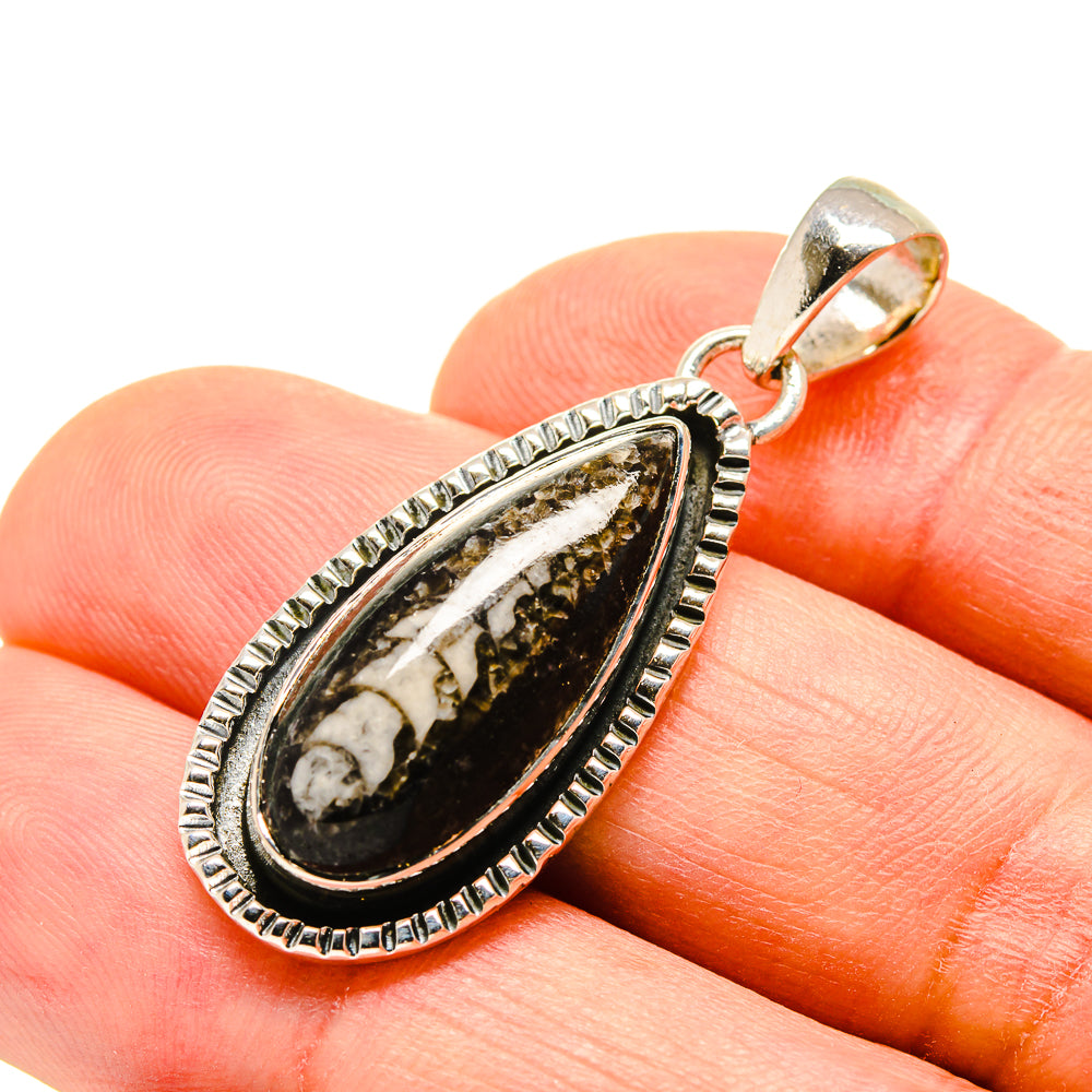 Orthoceras Fossil Pendants handcrafted by Anasilvercos - PD755903