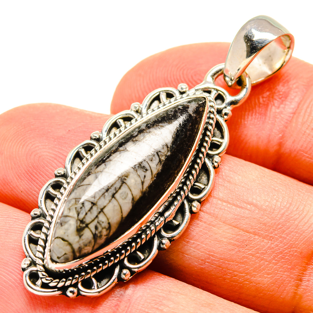 Orthoceras Fossil Pendants handcrafted by Anasilvercos - PD756110