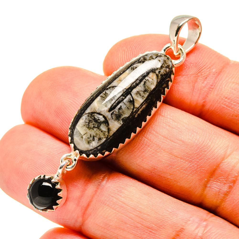 Orthoceras Fossil Pendants handcrafted by Anasilvercos - PD756124