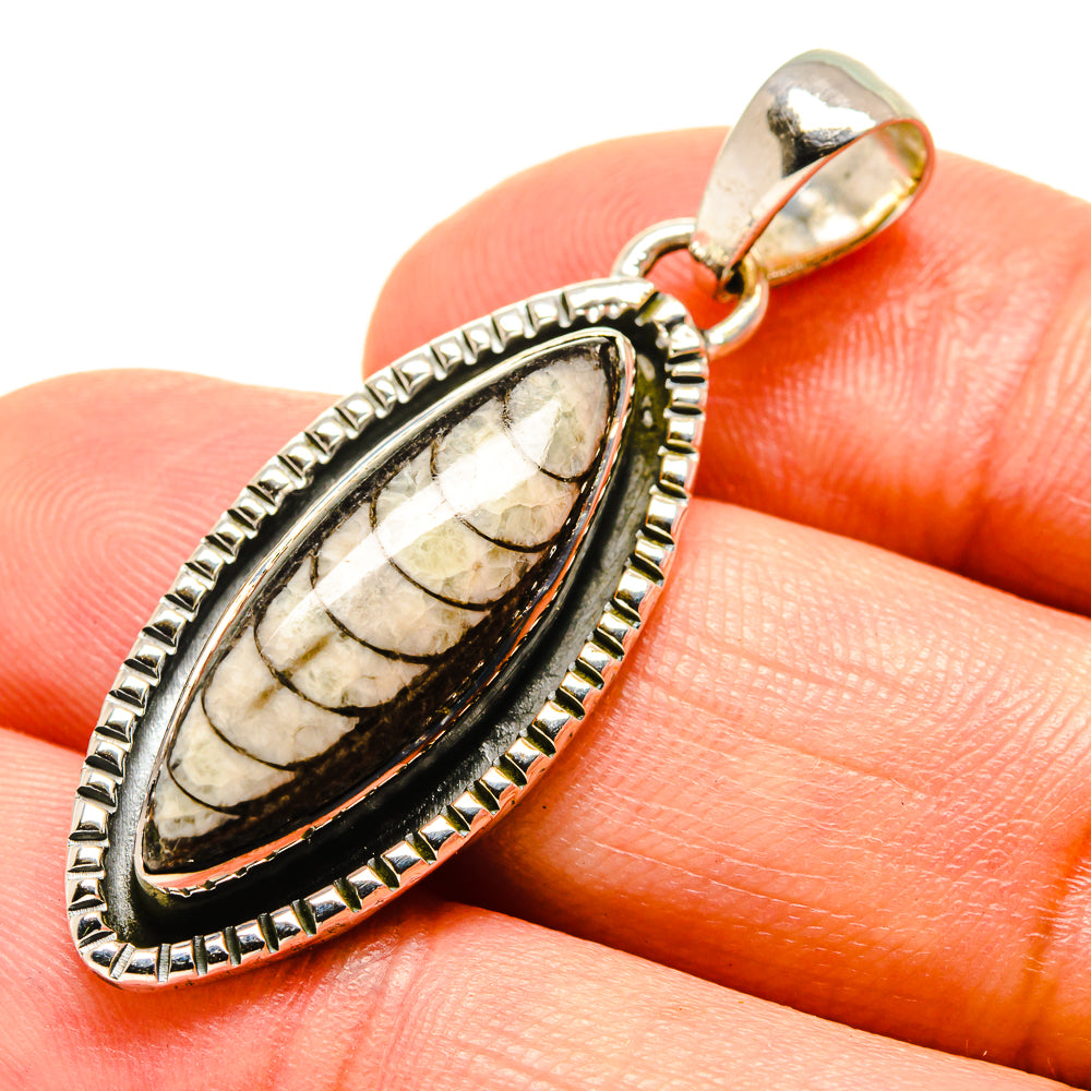 Orthoceras Fossil Pendants handcrafted by Anasilvercos - PD756237