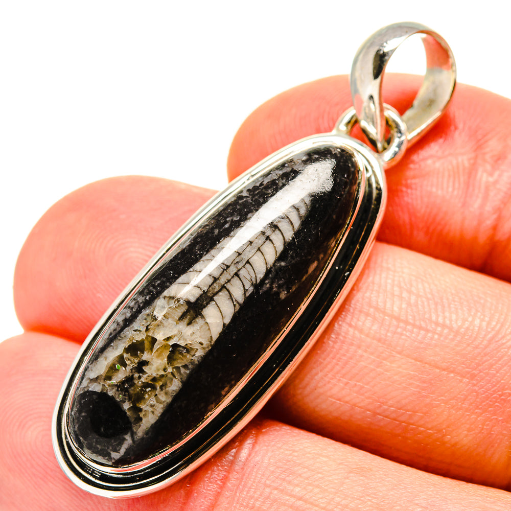 Orthoceras Fossil Pendants handcrafted by Anasilvercos - PD756289