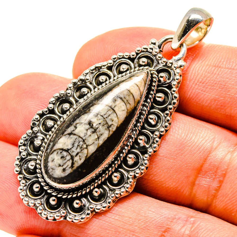 Orthoceras Fossil Pendants handcrafted by Anasilvercos - PD756486