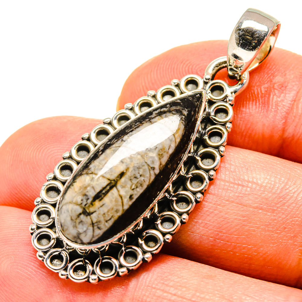 Orthoceras Fossil Pendants handcrafted by Anasilvercos - PD756526