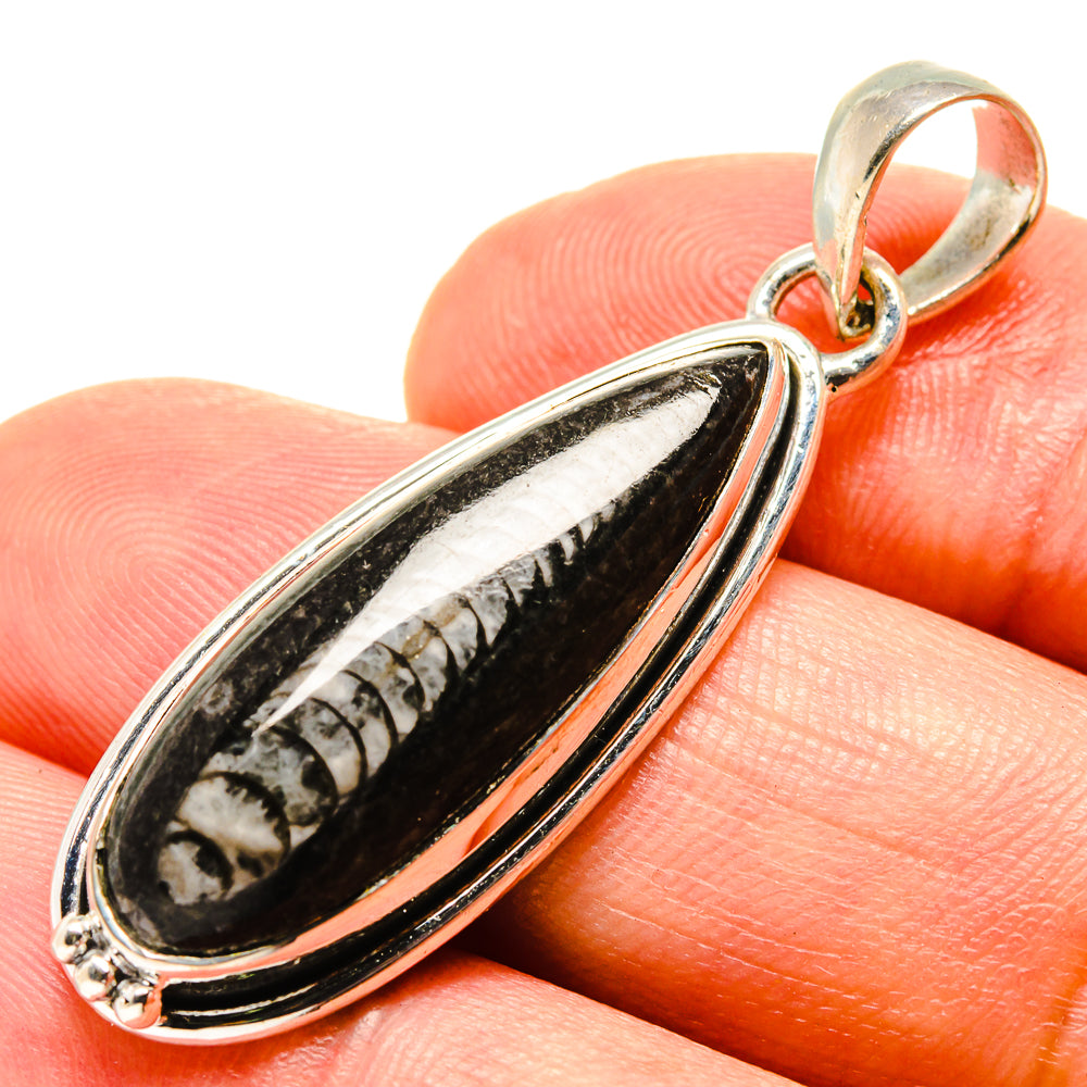 Orthoceras Fossil Pendants handcrafted by Anasilvercos - PD756786