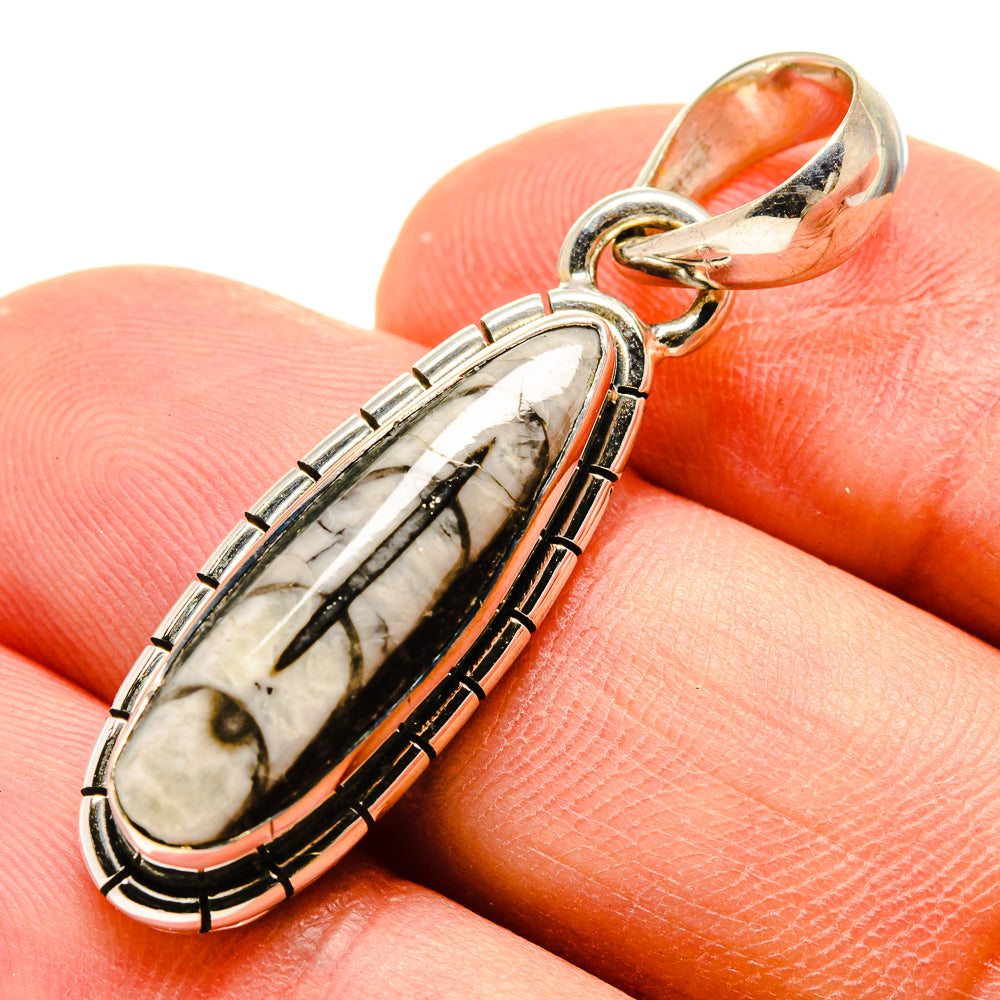 Orthoceras Fossil Pendants handcrafted by Anasilvercos - PD756835