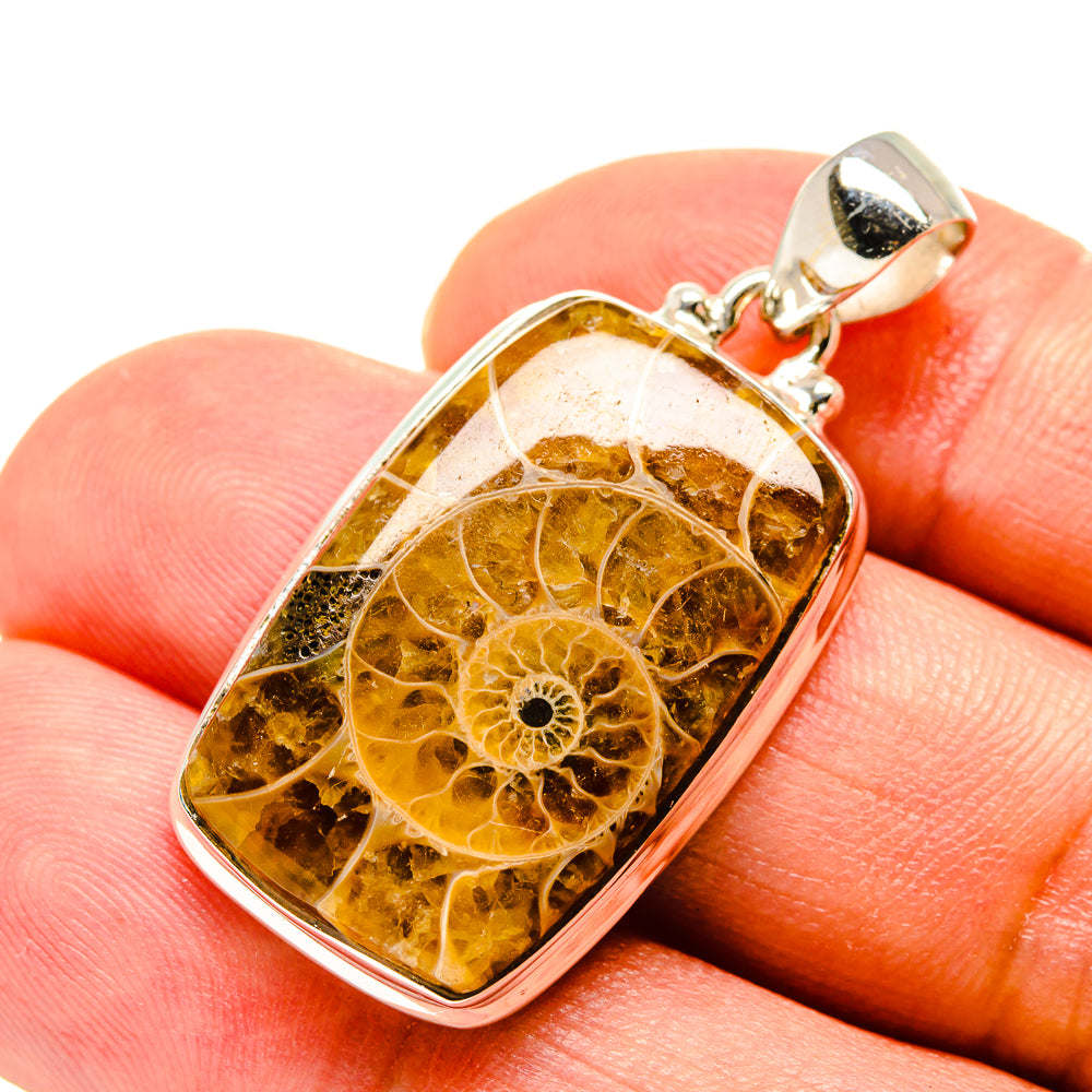 Ammonite Fossil Pendants handcrafted by Anasilvercos - PD758191