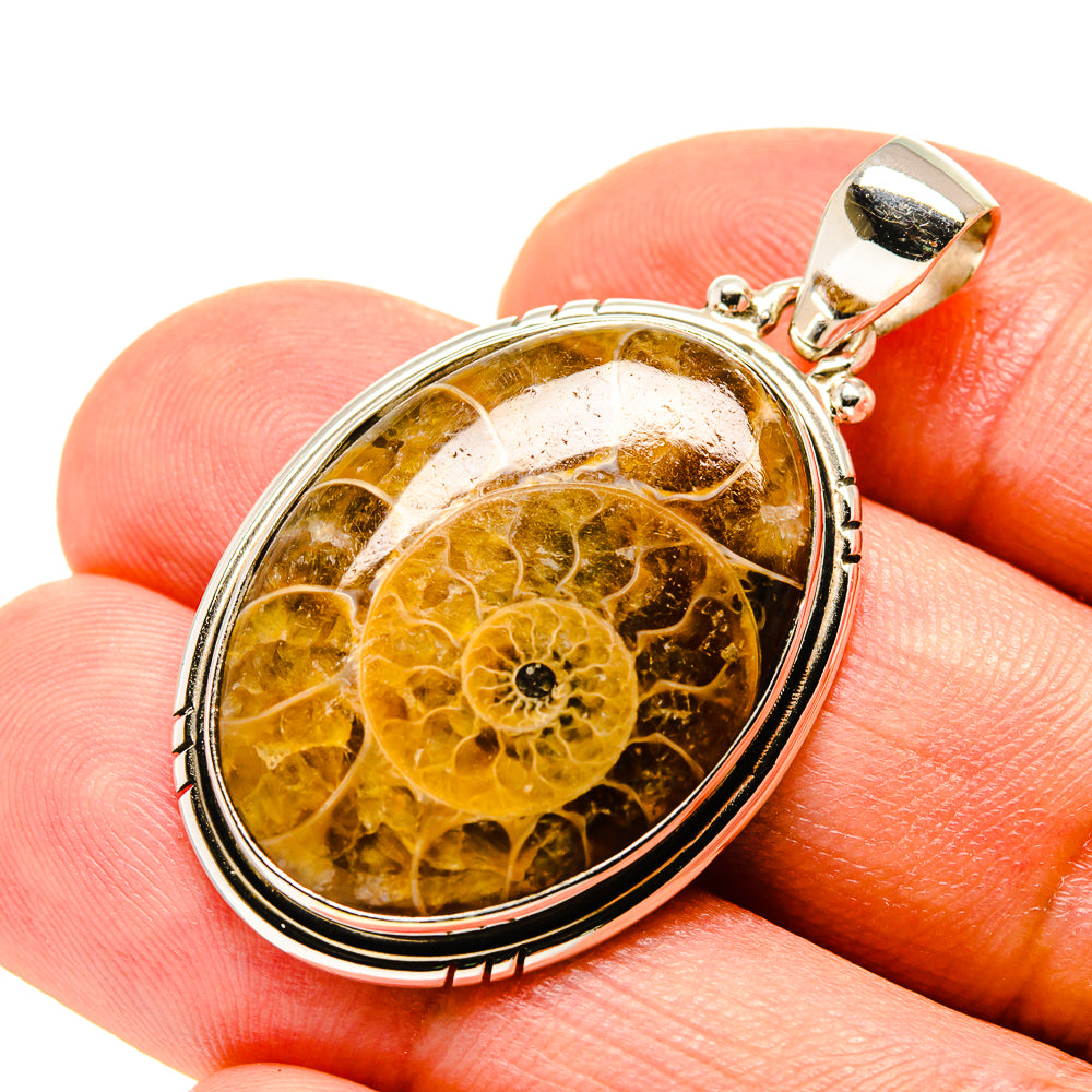 Ammonite Fossil Pendants handcrafted by Anasilvercos - PD758193