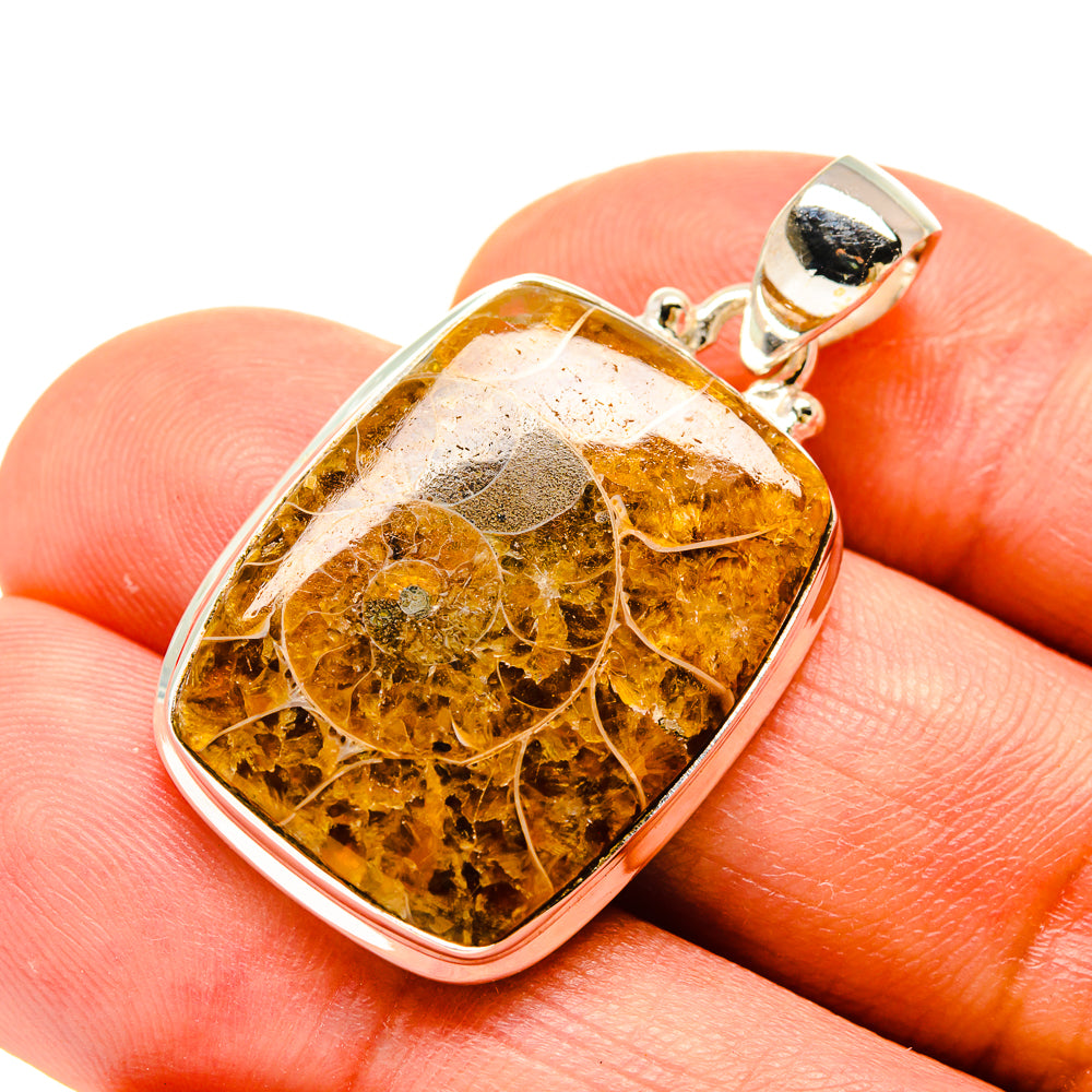 Ammonite Fossil Pendants handcrafted by Anasilvercos - PD758504