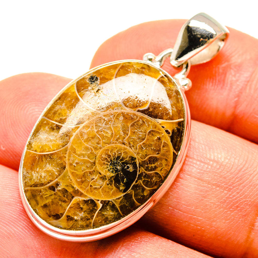 Ammonite Fossil Pendants handcrafted by Anasilvercos - PD758539