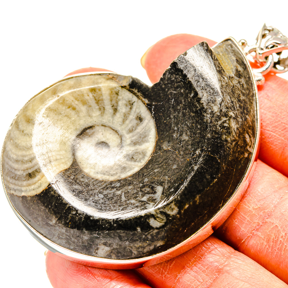 Orthoceras Fossil Pendants handcrafted by Anasilvercos - PD759255
