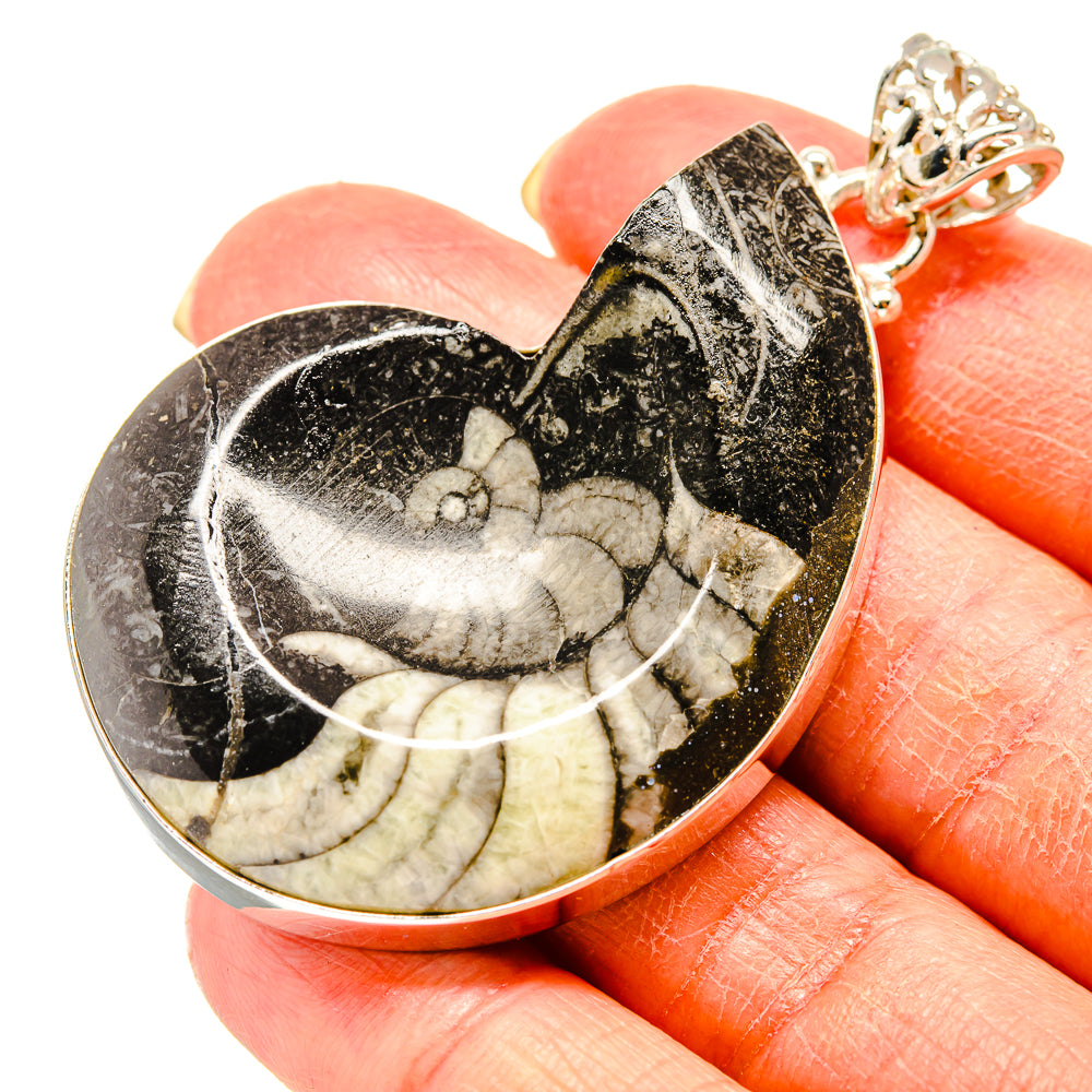 Orthoceras Fossil Pendants handcrafted by Anasilvercos - PD759256