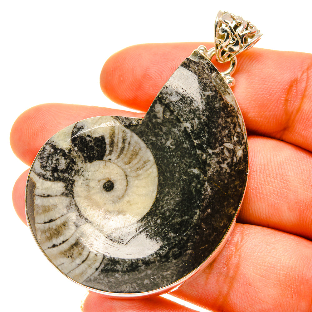 Orthoceras Fossil Pendants handcrafted by Anasilvercos - PD760016
