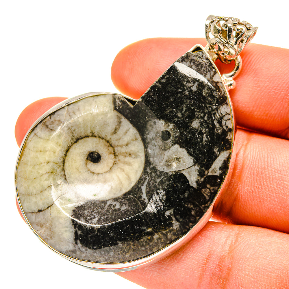 Orthoceras Fossil Pendants handcrafted by Anasilvercos - PD760148