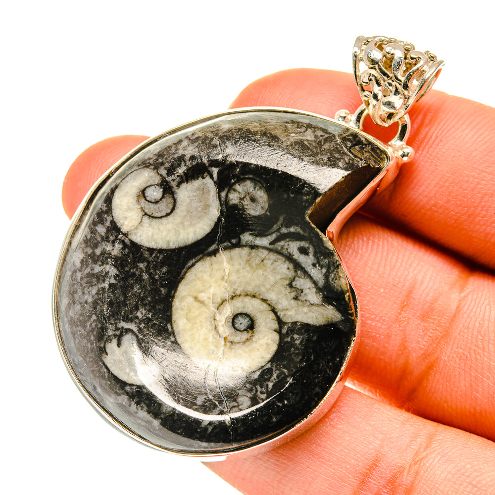 Orthoceras Fossil Pendants handcrafted by Anasilvercos - PD760657