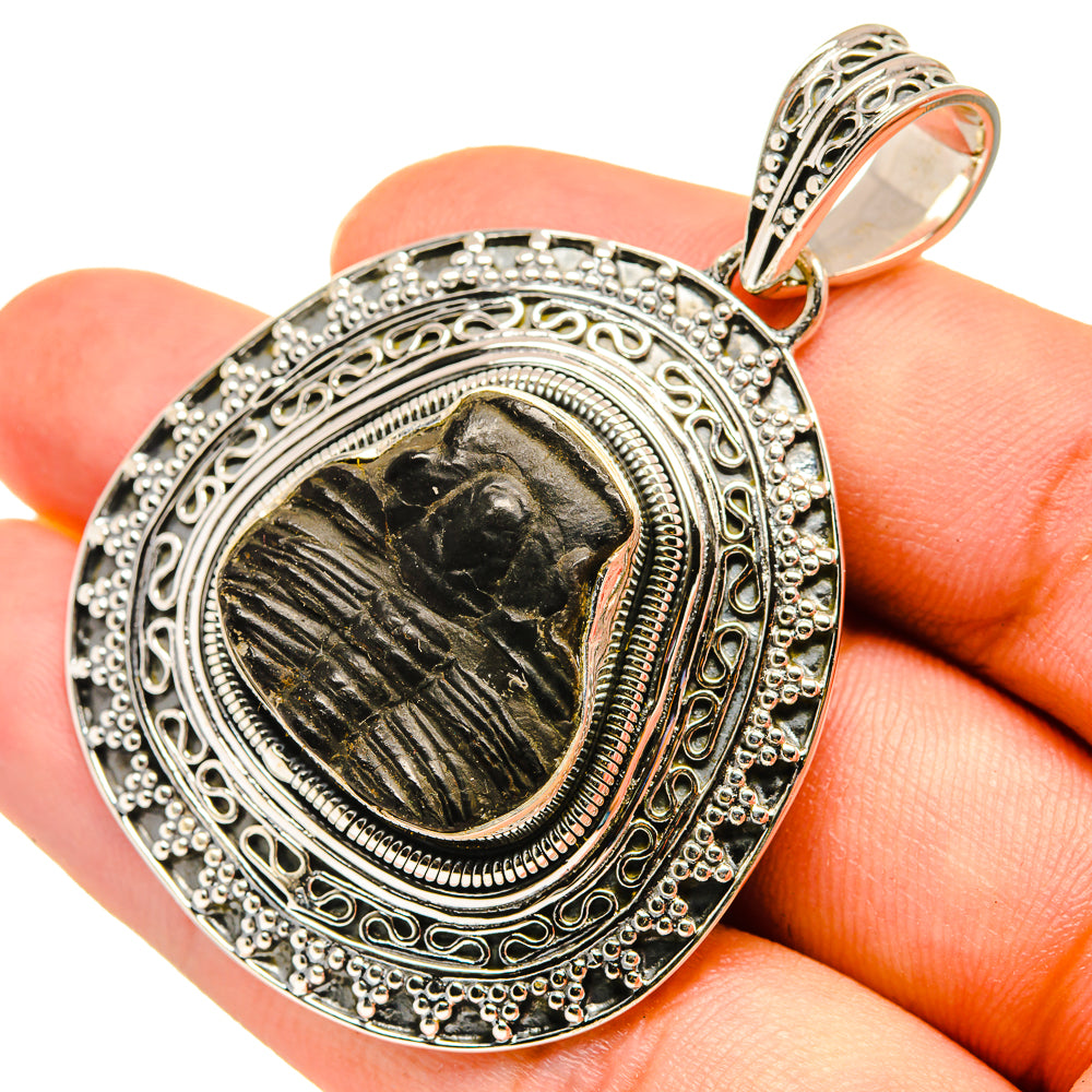 Trilobite Pendants handcrafted by Anasilvercos - PD8274
