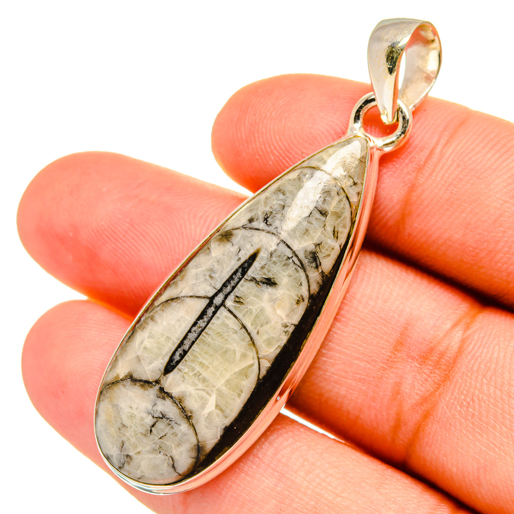 Orthoceras Fossil Pendants handcrafted by Anasilvercos - PD8722