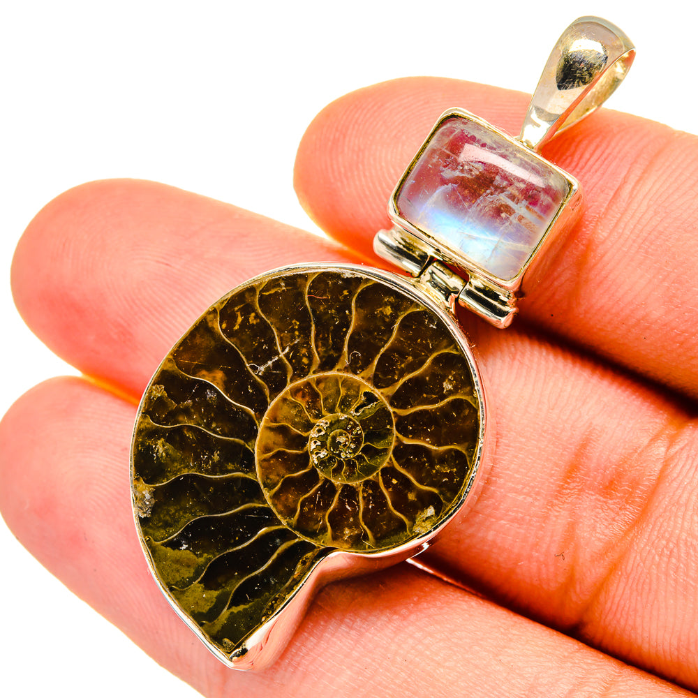 Ammonite Fossil Pendants handcrafted by Anasilvercos - PD8734