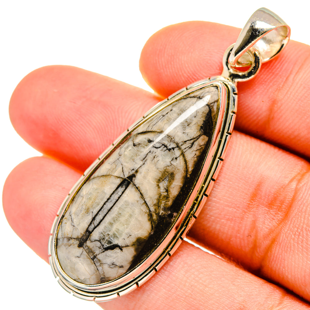 Orthoceras Fossil Pendants handcrafted by Anasilvercos - PD8737