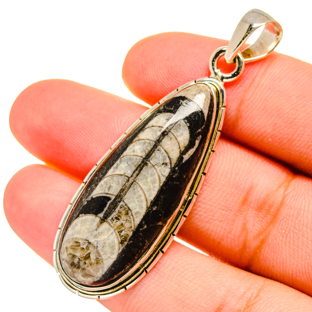 Orthoceras Fossil Pendants handcrafted by Anasilvercos - PD8759