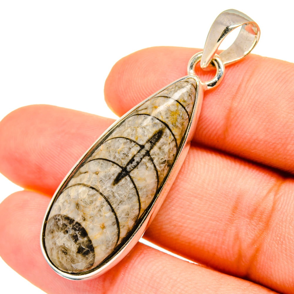 Orthoceras Fossil Pendants handcrafted by Anasilvercos - PD8804