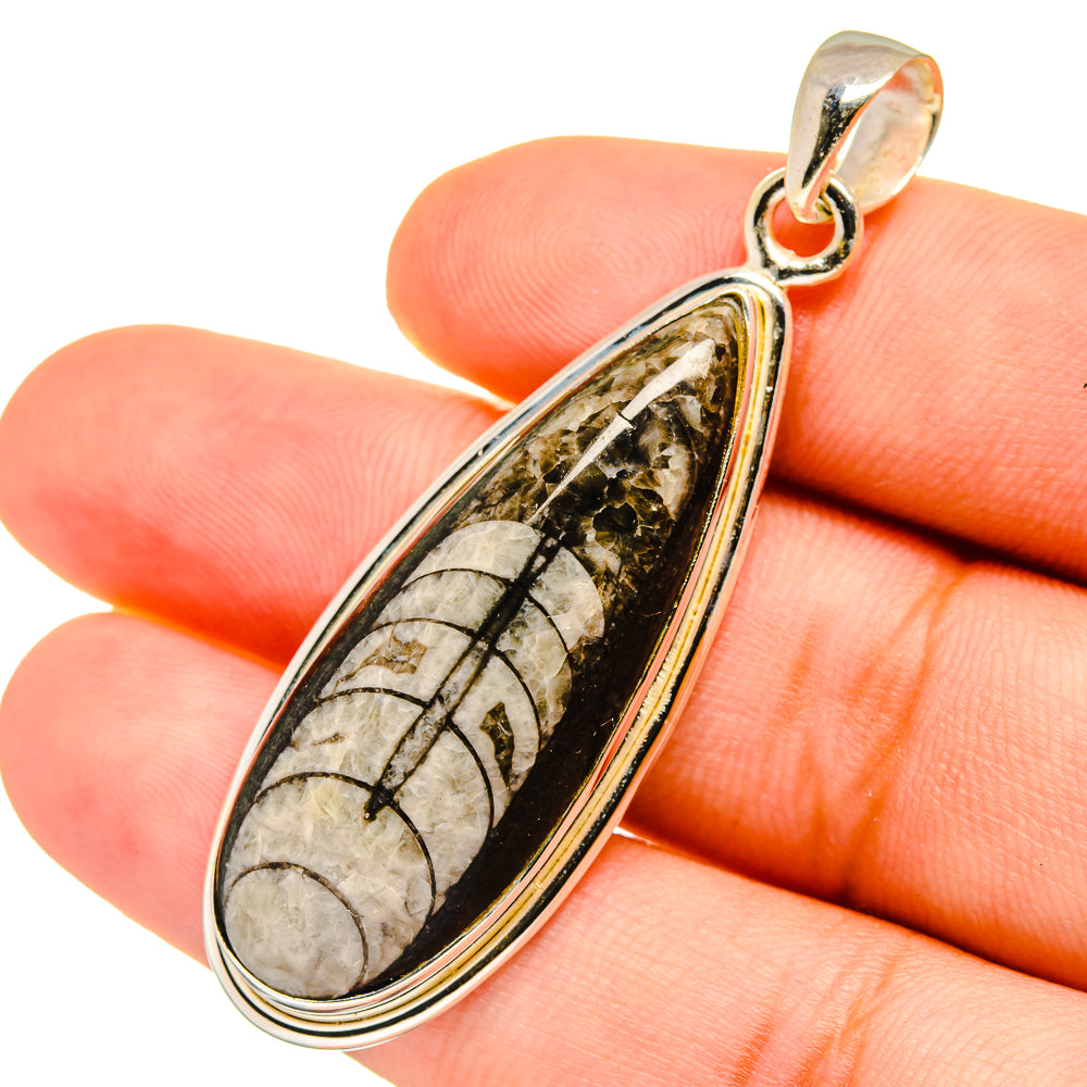Orthoceras Fossil Pendants handcrafted by Anasilvercos - PD8805