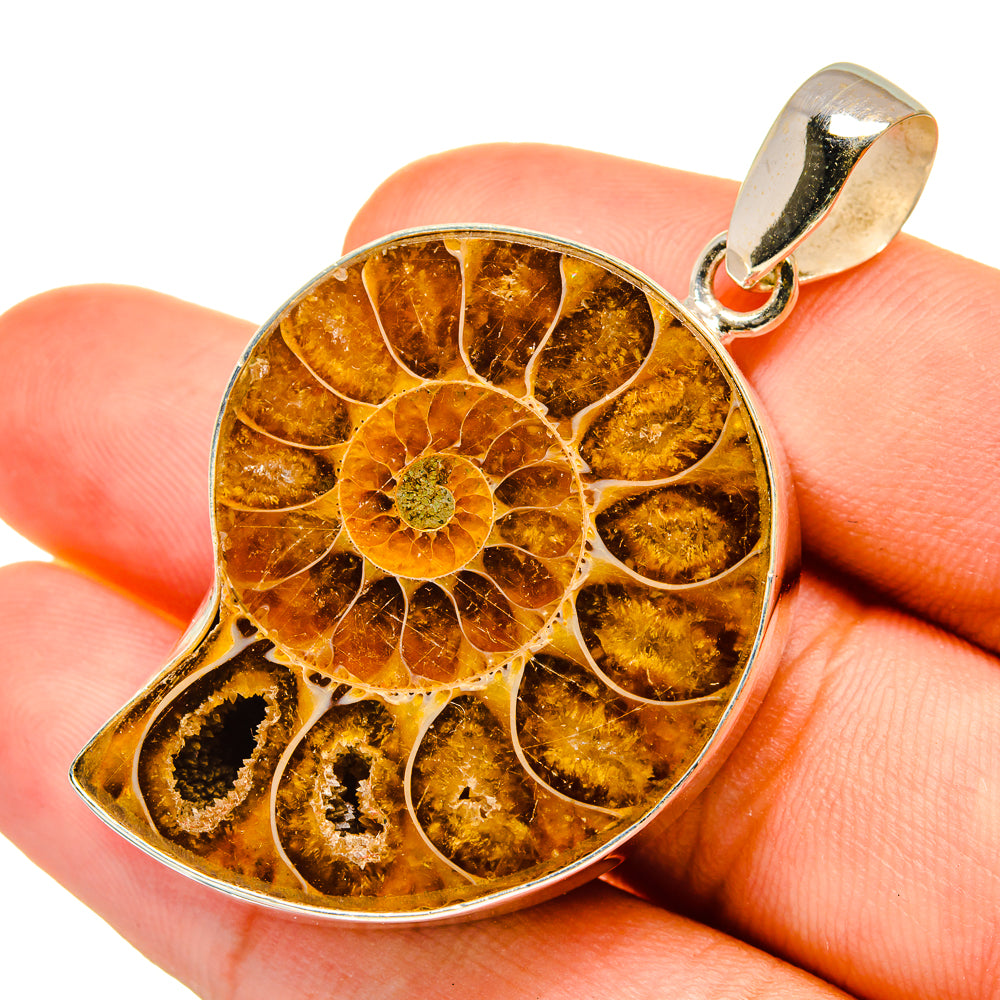 Ammonite Fossil Pendants handcrafted by Anasilvercos - PD8818
