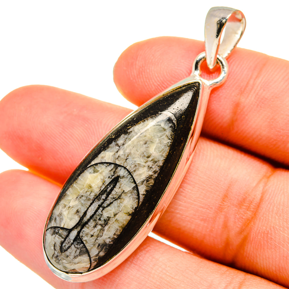 Orthoceras Fossil Pendants handcrafted by Anasilvercos - PD8935