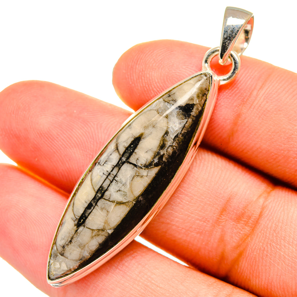 Orthoceras Fossil Pendants handcrafted by Anasilvercos - PD8936