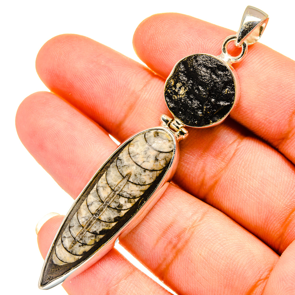 Orthoceras Fossil Pendants handcrafted by Anasilvercos - PD8937