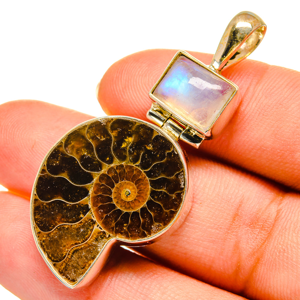 Ammonite Fossil Pendants handcrafted by Anasilvercos - PD9118