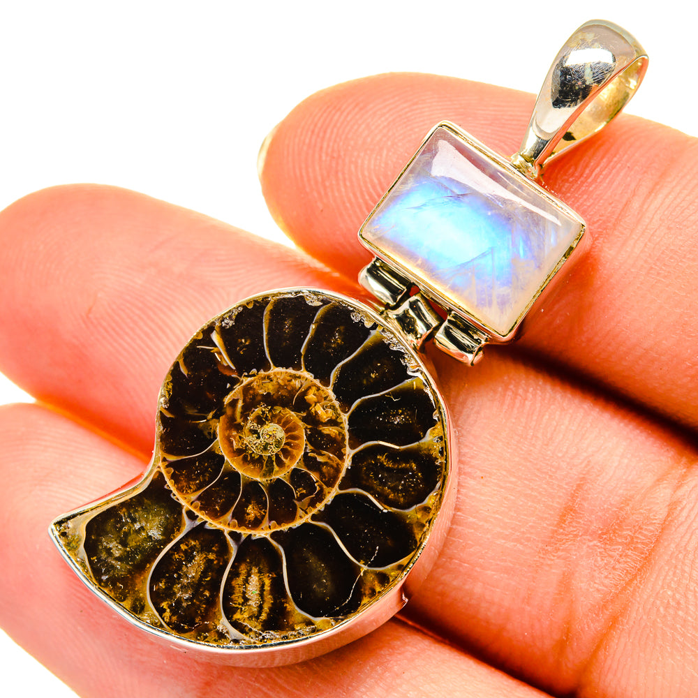 Ammonite Fossil Pendants handcrafted by Anasilvercos - PD9119